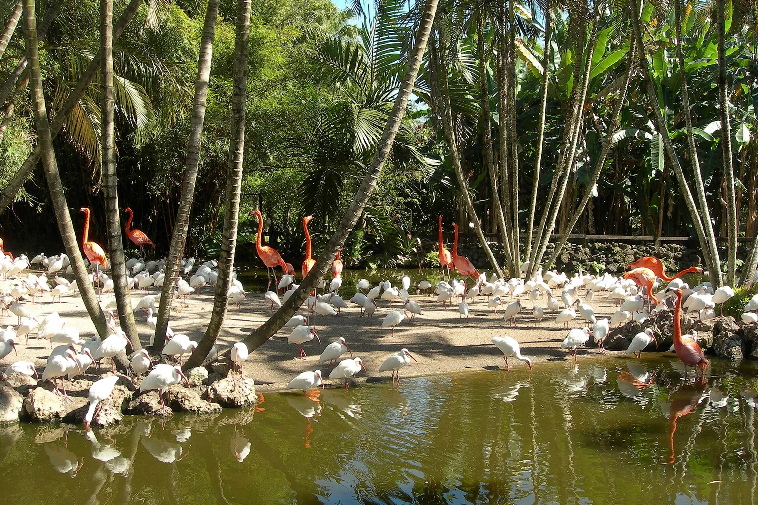 Flamingo Gardens à Davie : pourquoi réserver en ligne ?