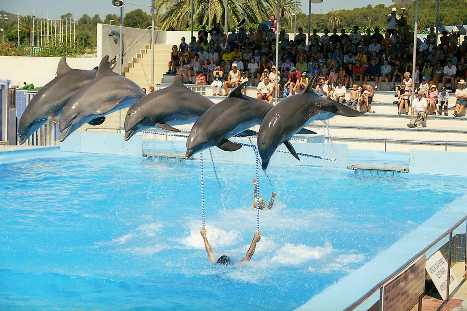 Marineland Mallorca visite : l'apport du SIG pour le public