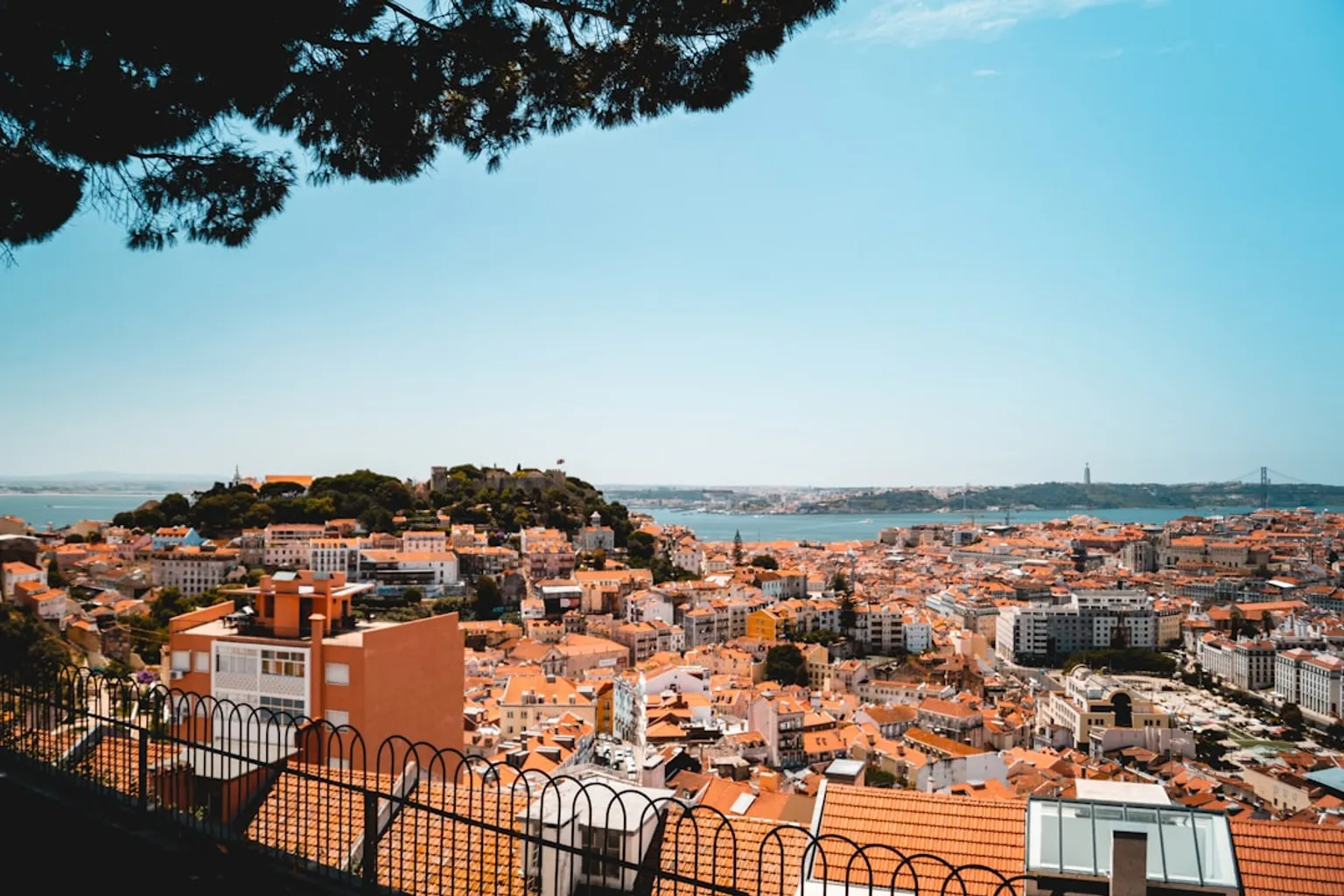 Observation de la faune à Lisbonne : quel budget prévoir ?