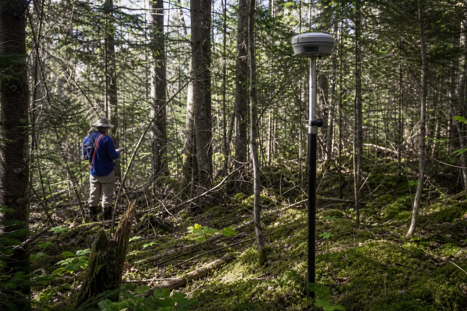 Positionnement RTK sous forêt dense : les défis réels