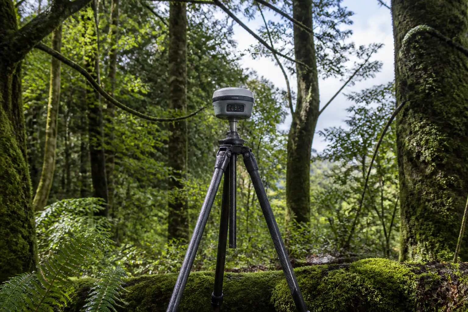 Précision GNSS sous forêt : le verdict des tests terrain