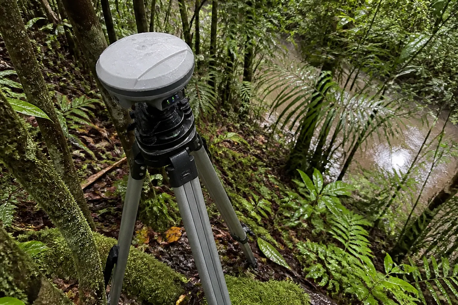 Rainforestation Nature Park billets : comparatif des options