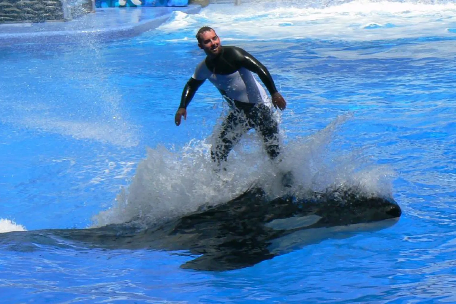 SeaWorld Orlando : trois options pour acheter vos billets