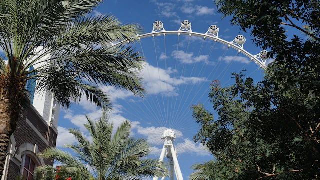 Grande roue High Roller
