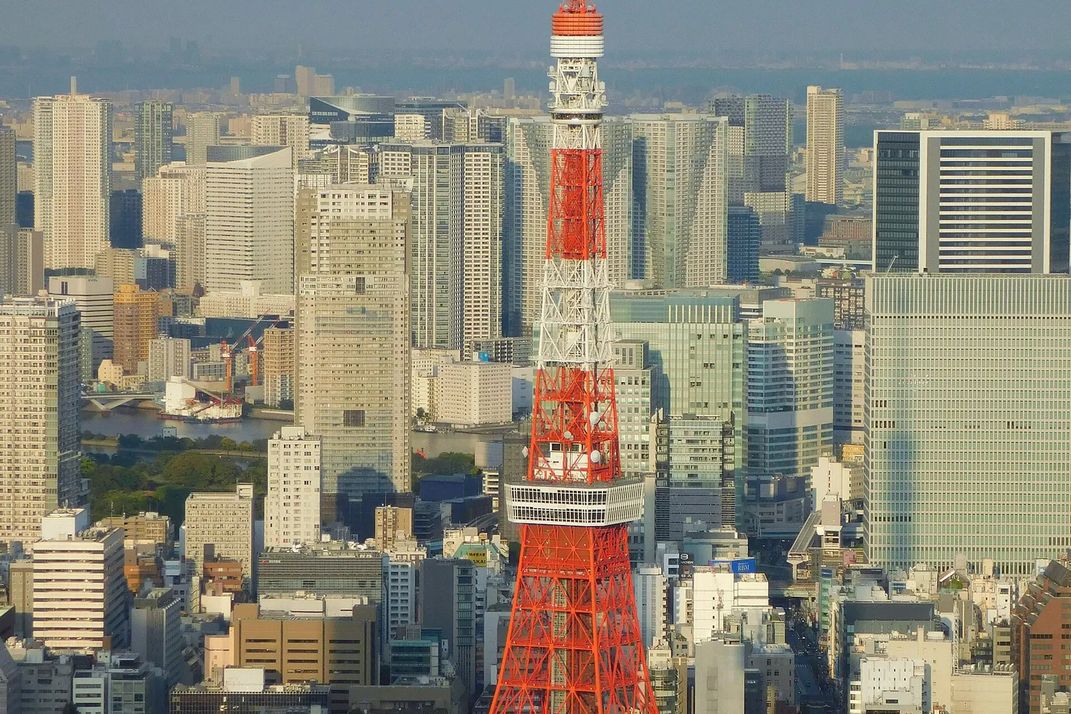 Tour de Tokyo : 3 options pour organiser votre visite