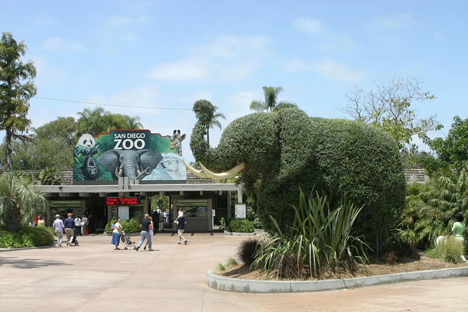 Zoo de San Diego billets : 3 points clés de visite SIG